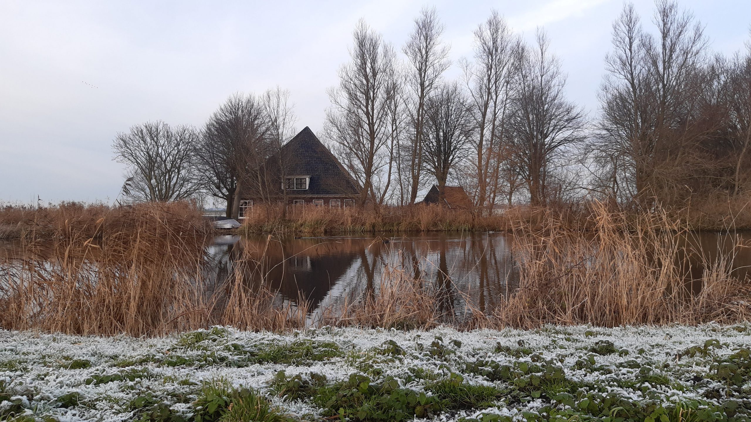 In de buurt